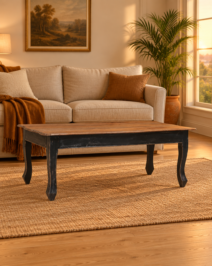 Table basse acajou noir et brun - plan large
